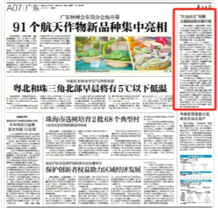 /news/mtzd/